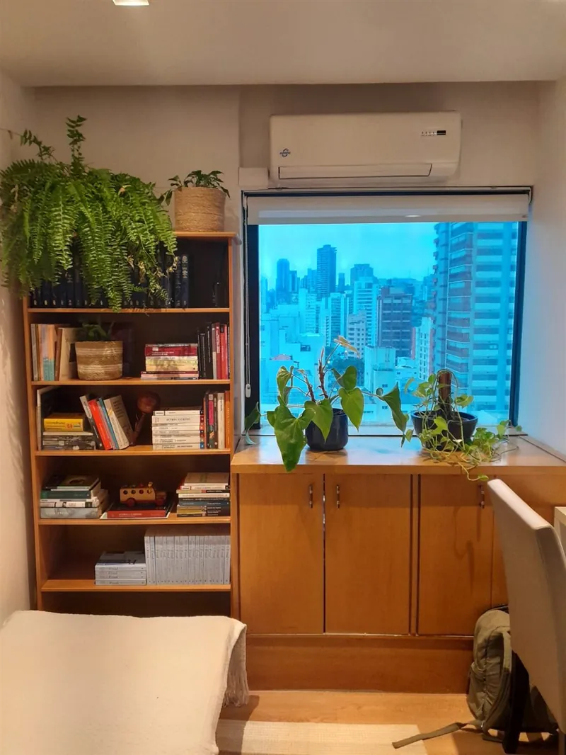 Consultório com estante de livros e plantas junto à janela